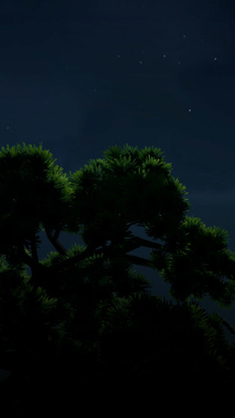 剑网3·月华如水 screenshot