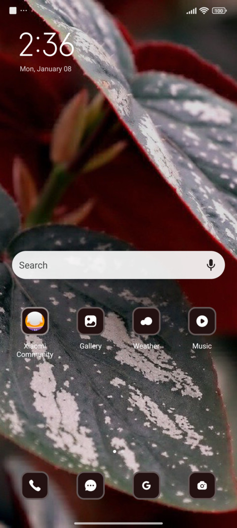 Leaf screenshot