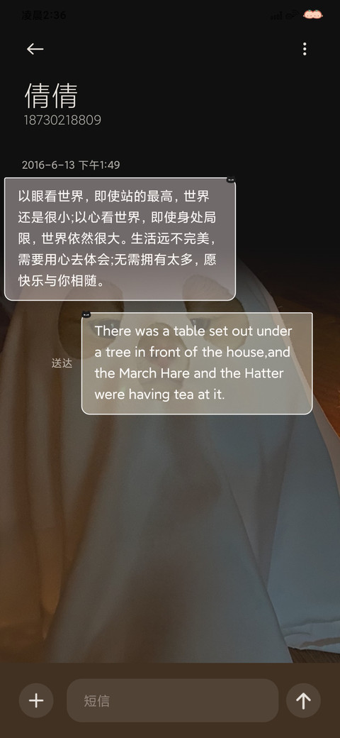 坡坡猫大脸萌 screenshot