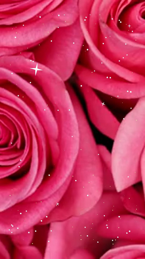 rose screenshot