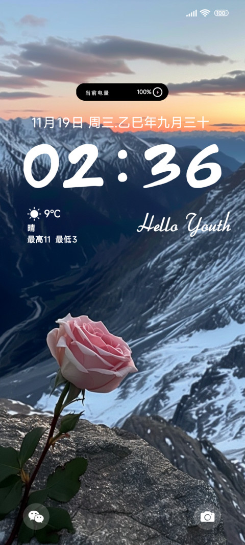 盛开的玫瑰 screenshot