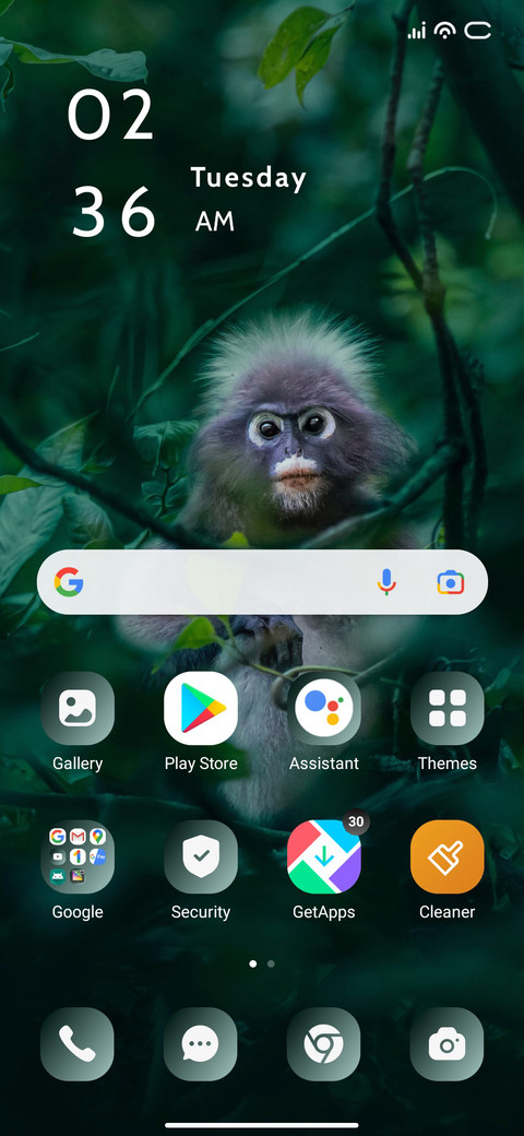 Nosy Monkey screenshot
