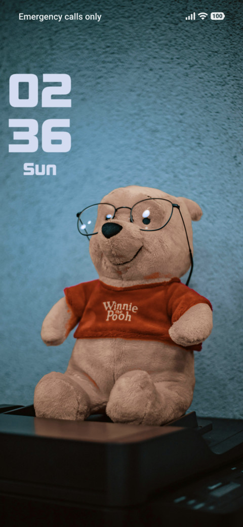 Bear screenshot