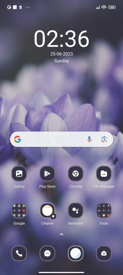 Crocus Purple screenshot