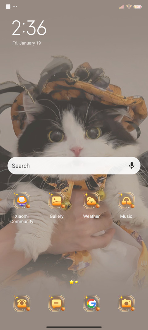 Cute Halloween cat screenshot