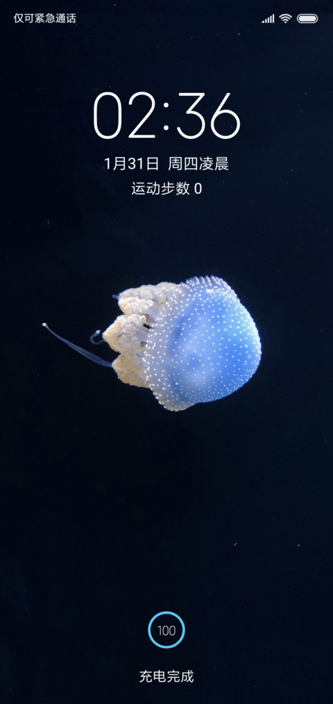 os screenshot