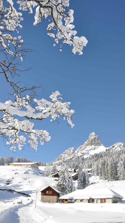 Winter Snow Country screenshot