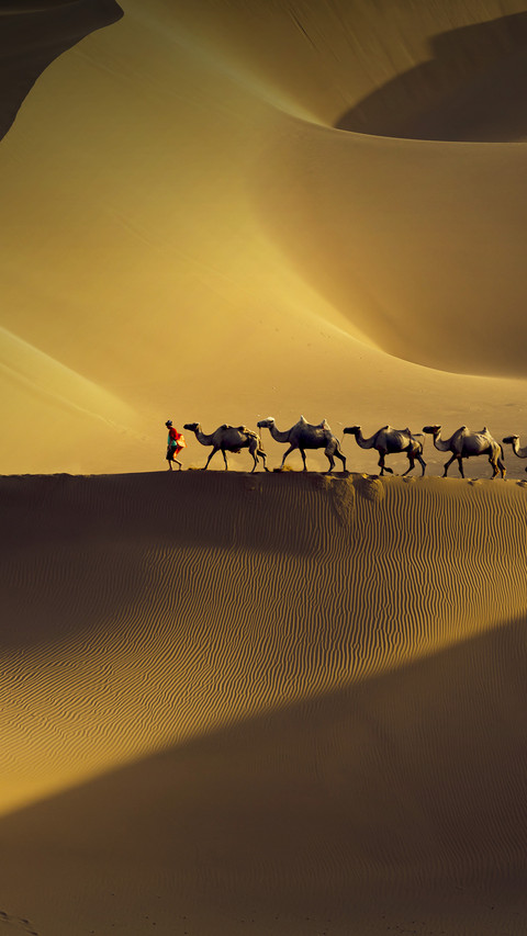 A brief history of the Silk Road 72 screenshot