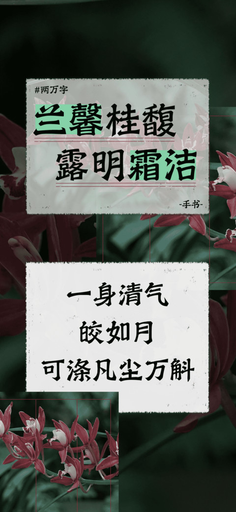 兰馨桂馥露明霜洁 screenshot