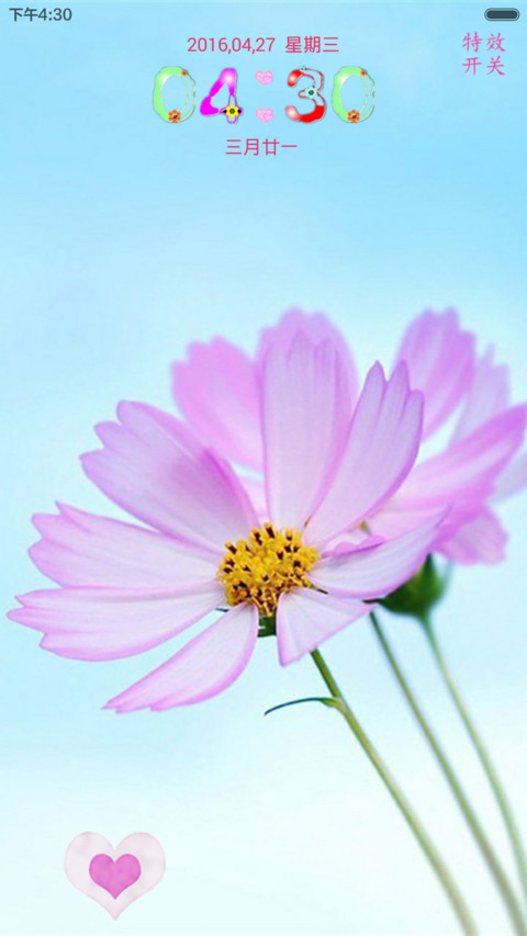 格桑花 screenshot