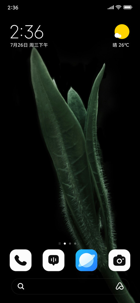 Shadow Leaf screenshot