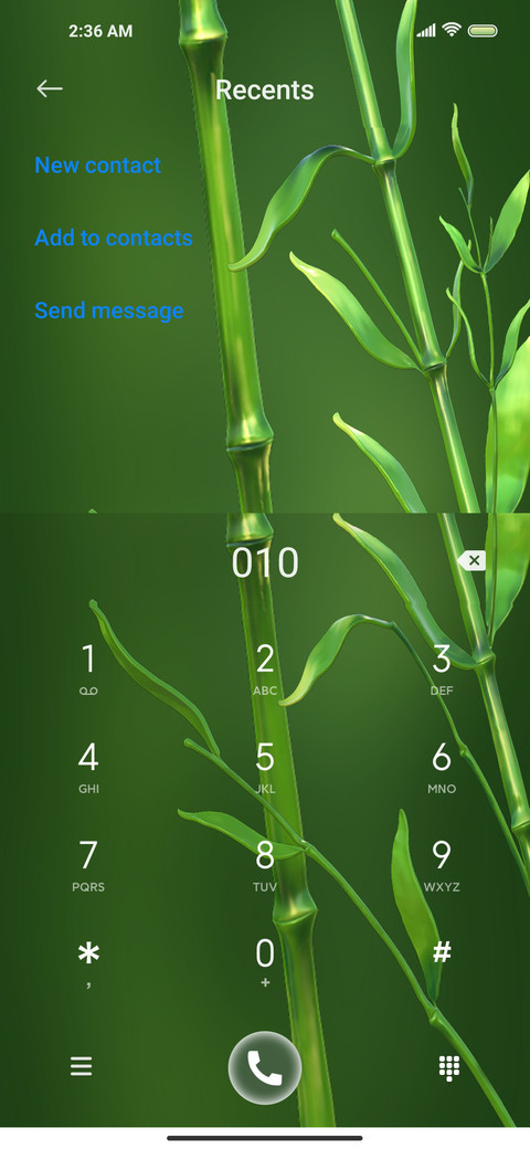 Green bamboo screenshot