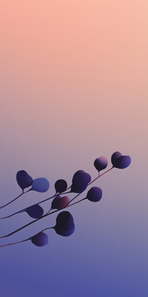 Silhouette4.jpg screenshot