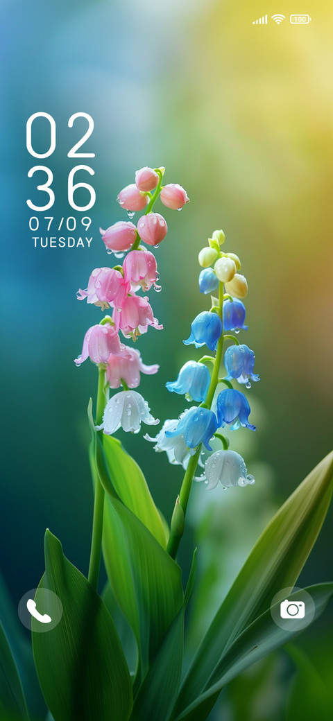 lily of the valley screenshot