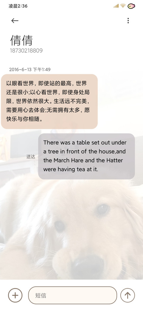 笨蛋小狗的爱 screenshot