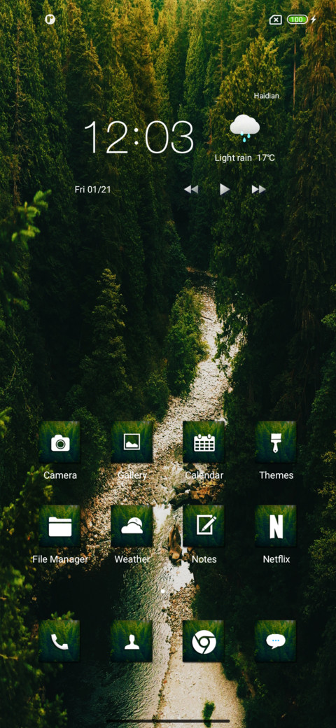 Jungle for screenshot