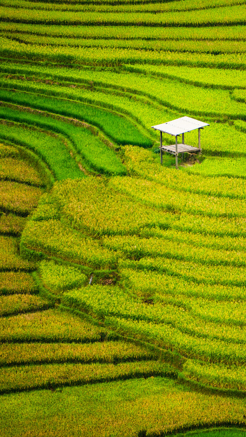 Terraces in Yunnan screenshot