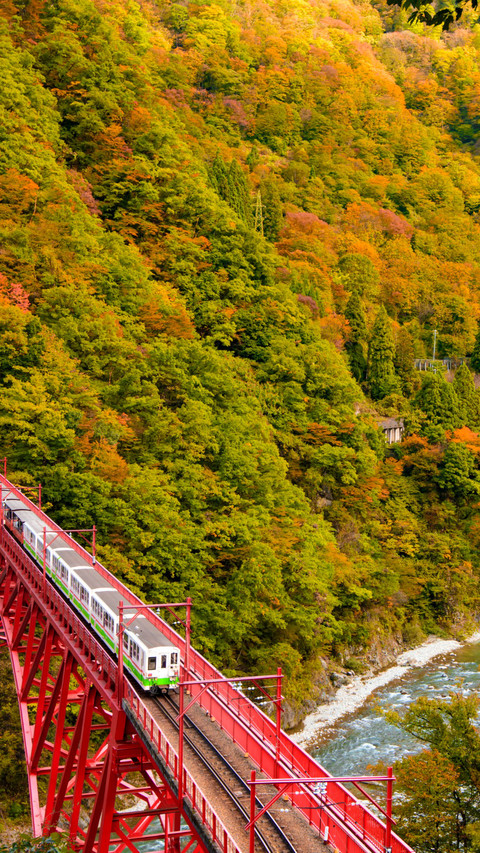 Black River Canyon Autumn Scenic Railway Ride screenshot