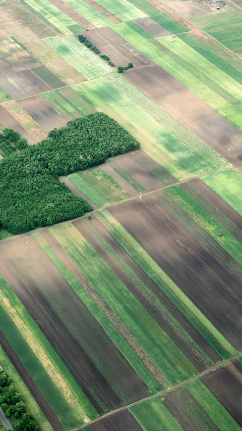 Farmland fields screenshot