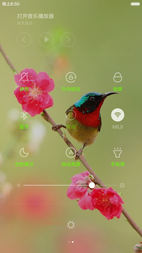 鸟语花香 screenshot