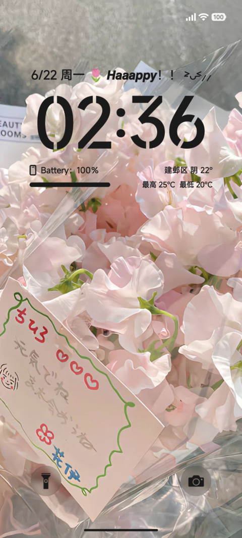 ins简约花语 screenshot
