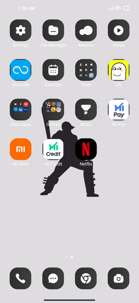 Black Cricket screenshot