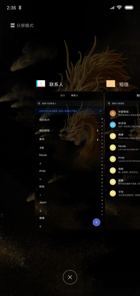 金龙 screenshot