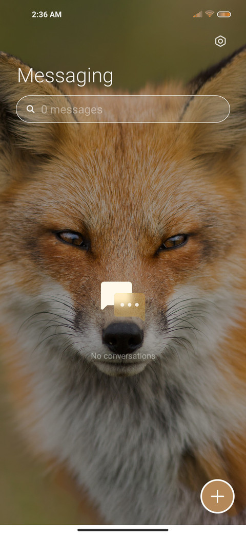 Handsome Fox screenshot