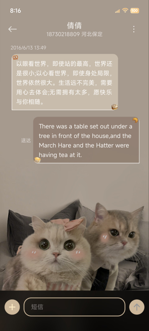 INS景深小猫贴贴 screenshot