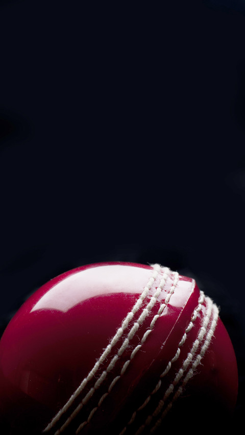 India-cricket ball screenshot