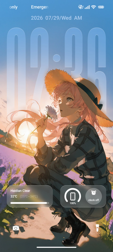 Sunny screenshot