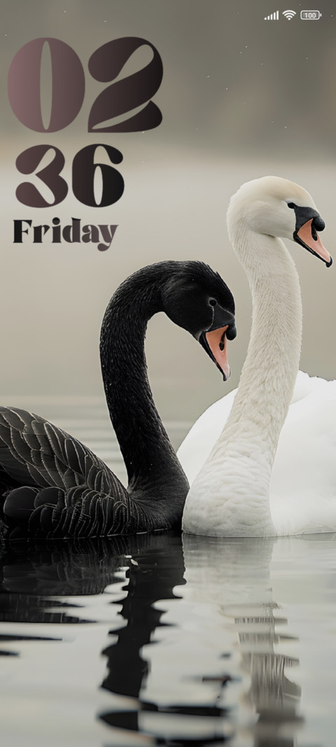 Swan screenshot