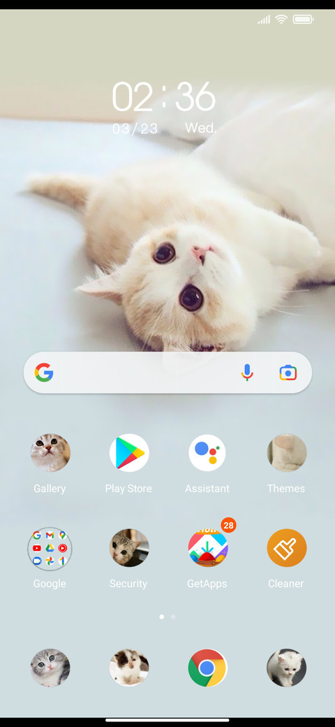 Cute cat screenshot