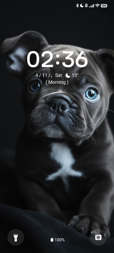 Black Dog screenshot
