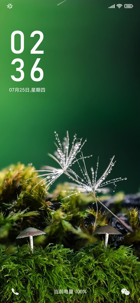 林中小蘑菇 护眼 screenshot