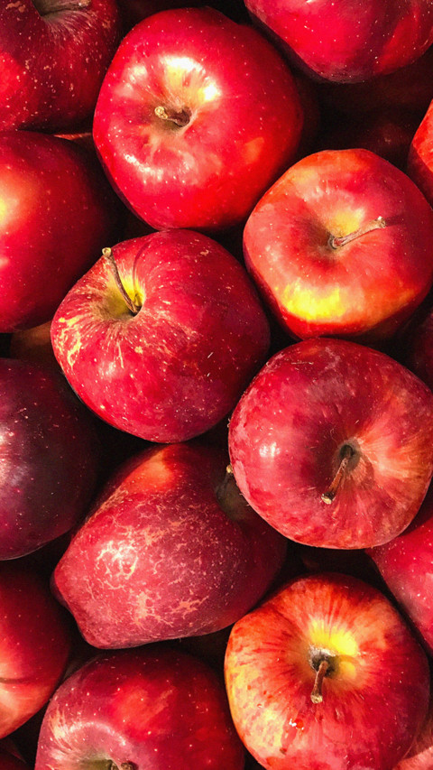 fruit screenshot