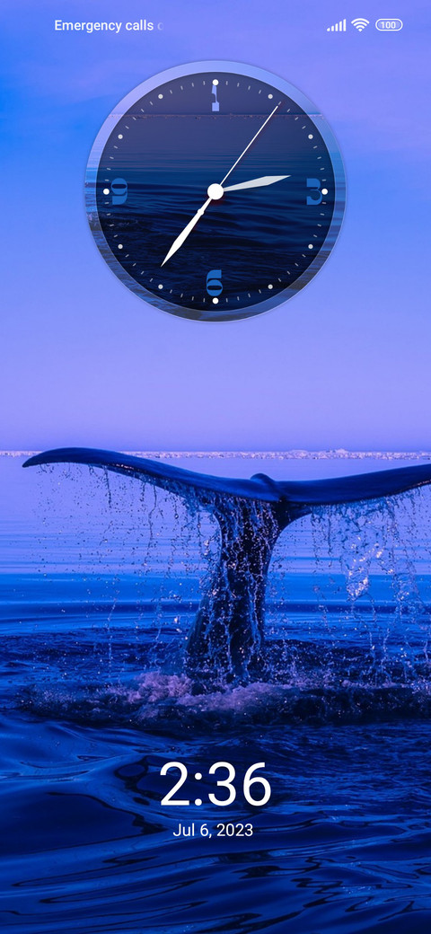 blue whale screenshot