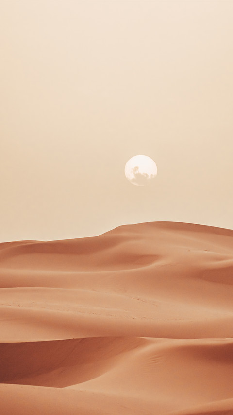 Pure desert screenshot