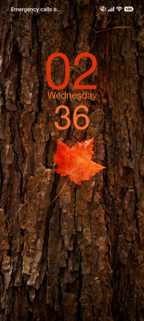 Leaf screenshot