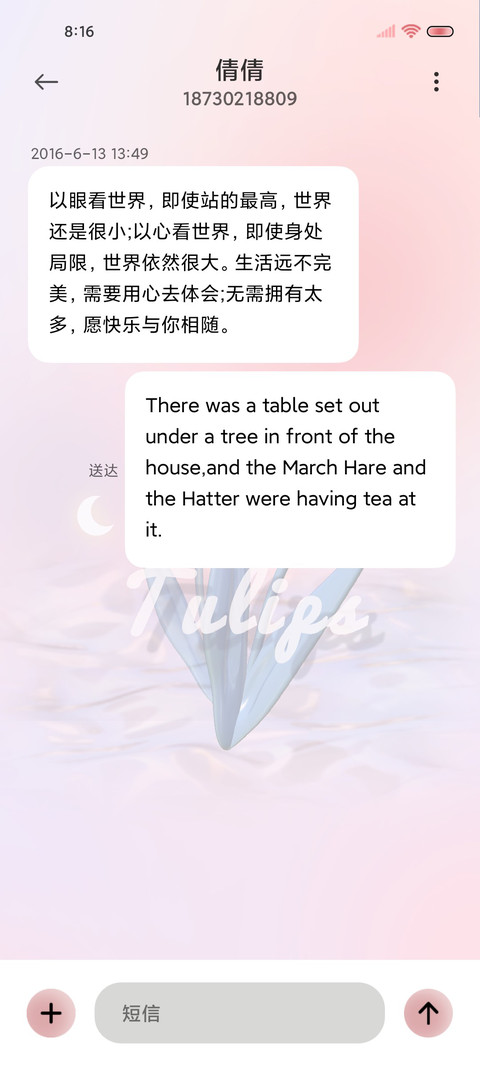 3D翻转蝴蝶郁金香 screenshot