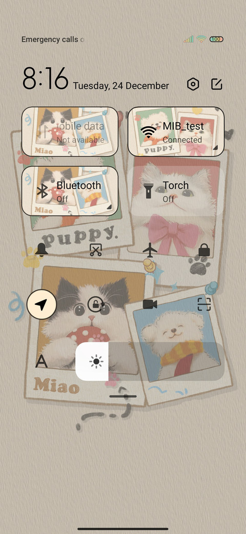 Retro Album Cat screenshot
