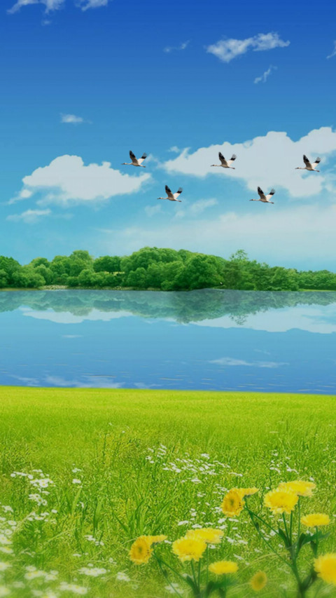 风轻云淡 screenshot