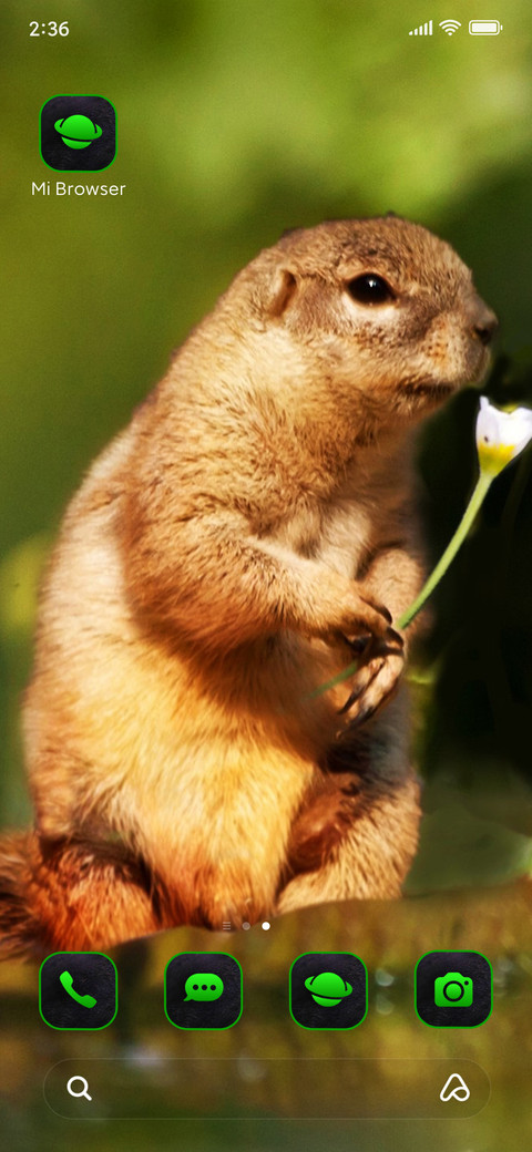 Wildlife eleven screenshot