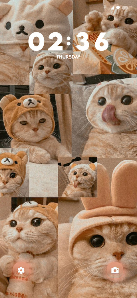 Cat feel screenshot