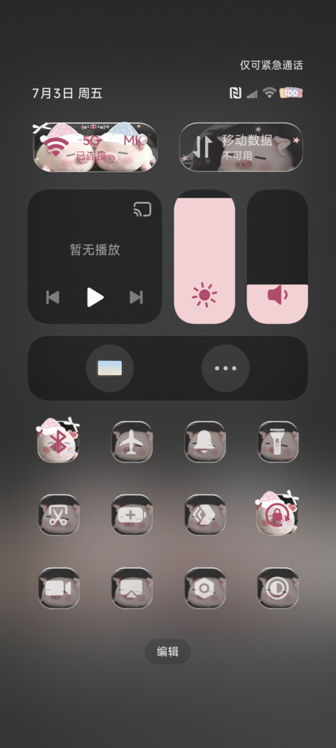 ins氛围感软软小猪 screenshot
