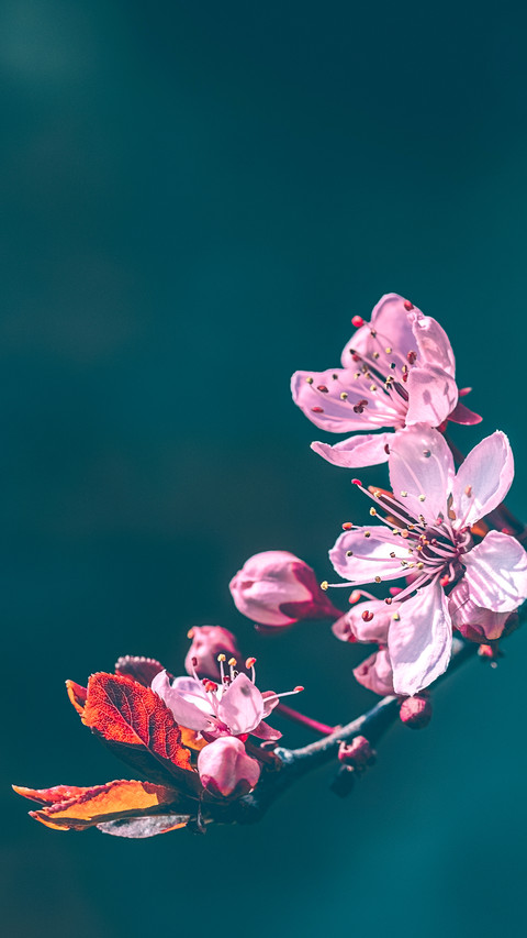 The sedimentation of life is another kind of beauty screenshot