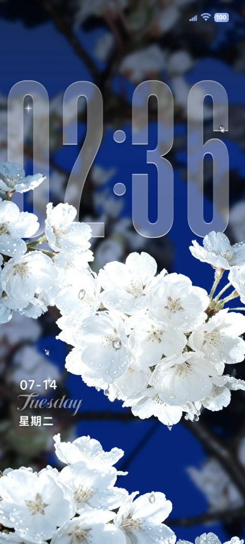重感 夜樱花 screenshot