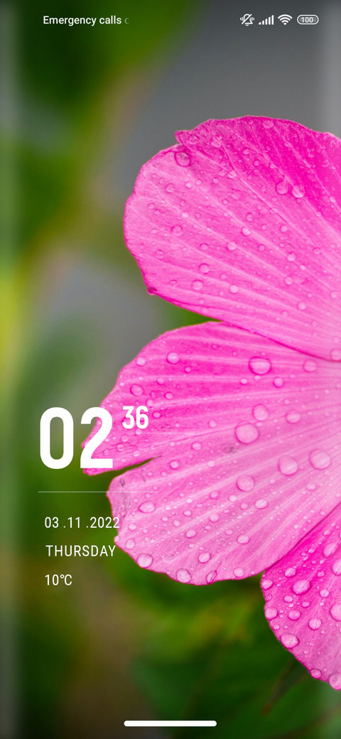 FLower_hope screenshot