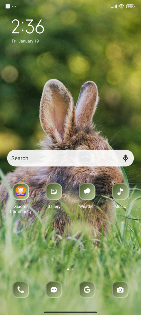 Rabbit in Grass screenshot