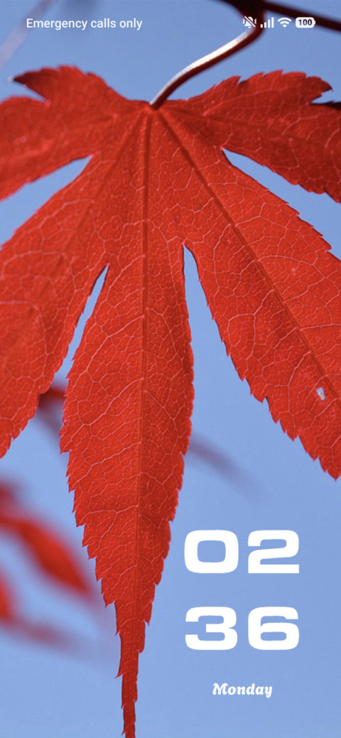 Red Maple screenshot